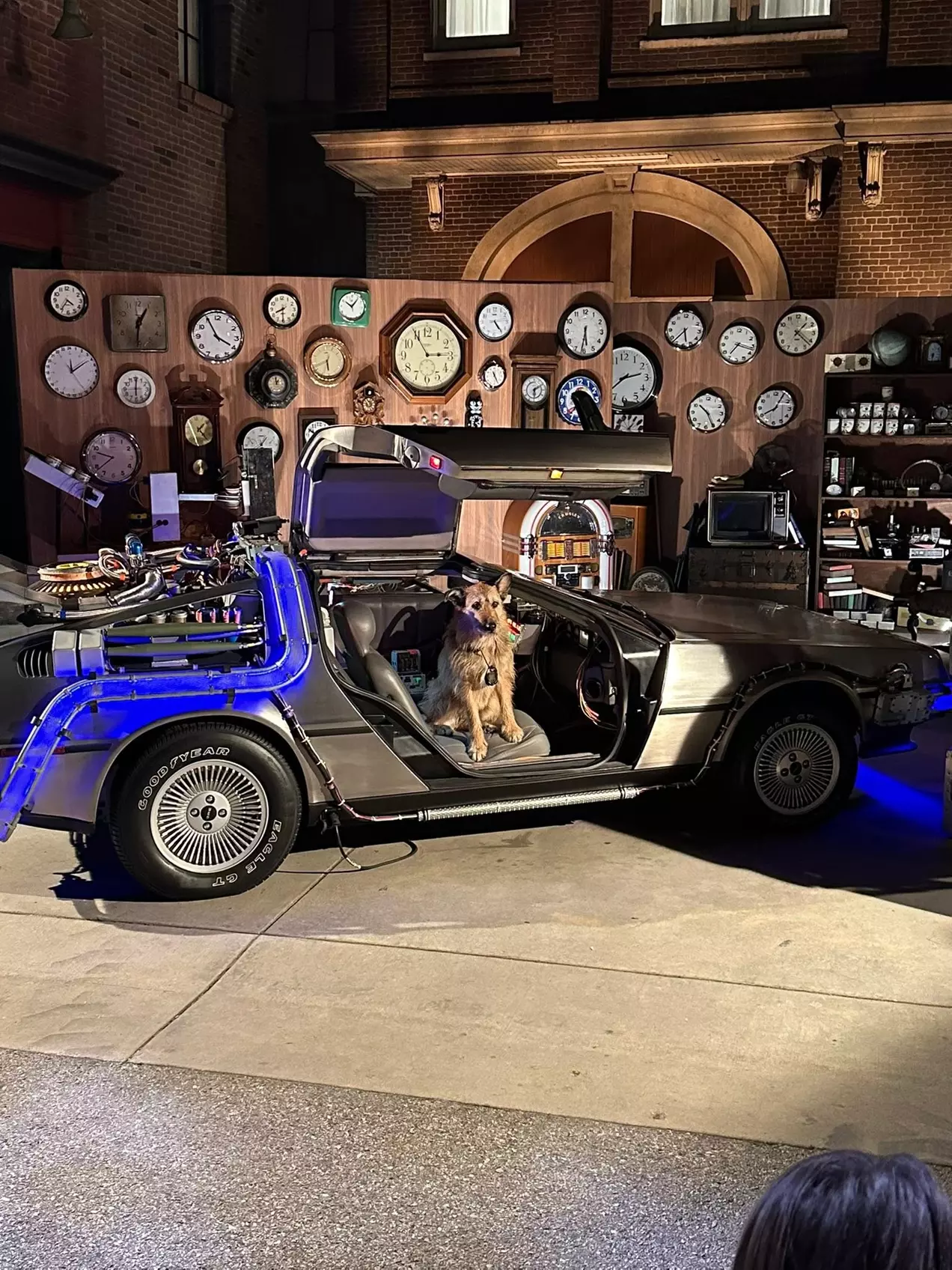 Universal Fan Fest Night Tickets at Universal Studios Hollywood