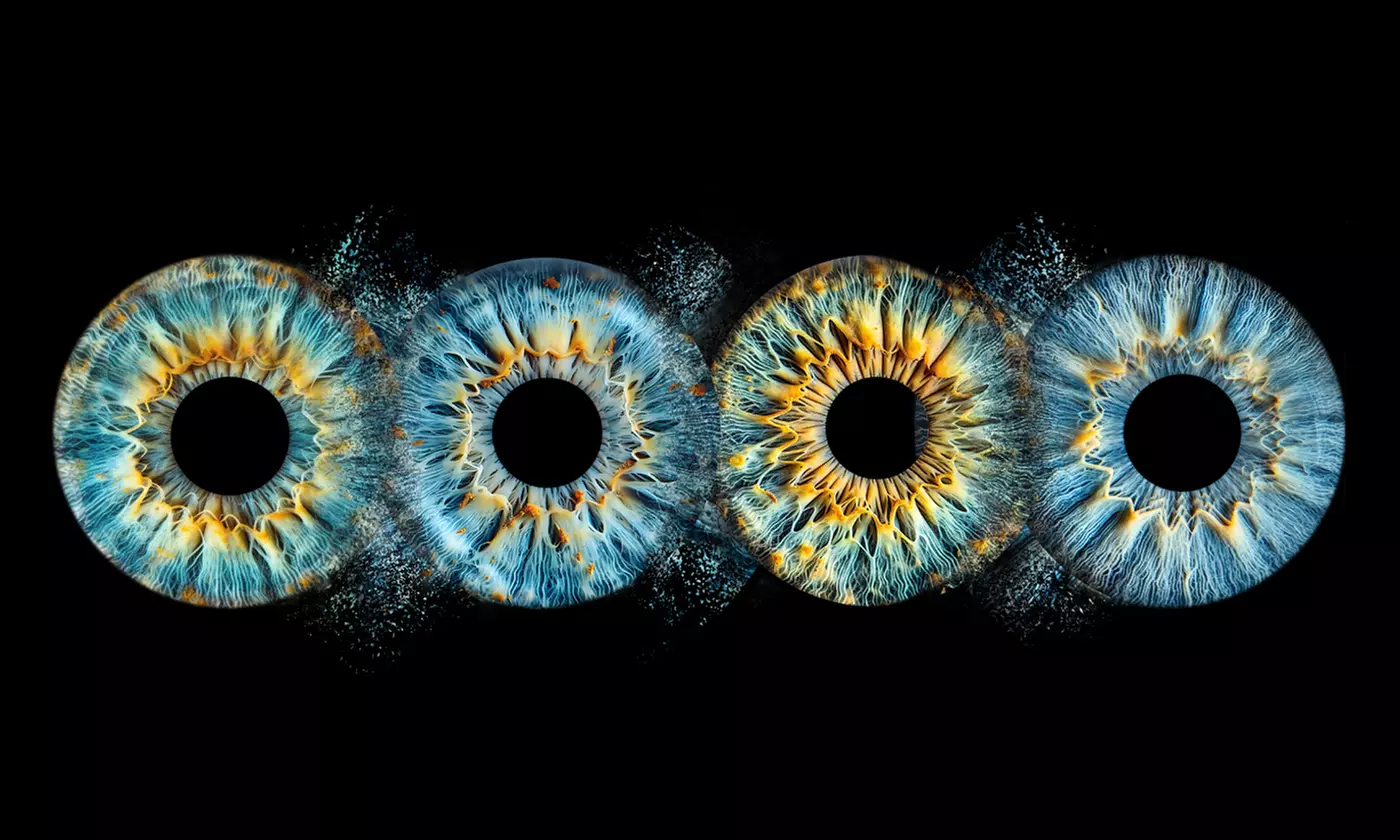 Custom Iris Photo Art For Couples, Families or Pets