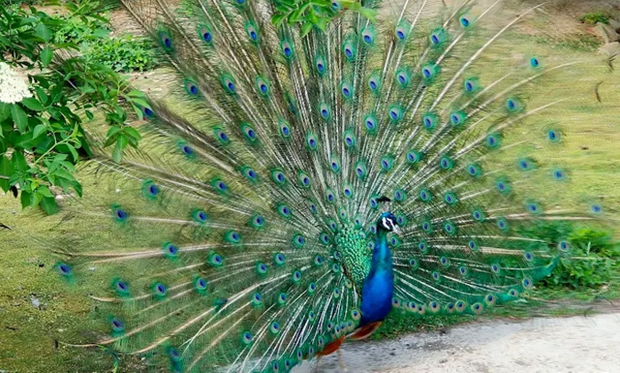 Image 8: Balade nature et biodiversité à deux pas de Paris