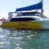 Image 2: Four-Hour Catamaran Cruise with Lunch for Up to 20 People