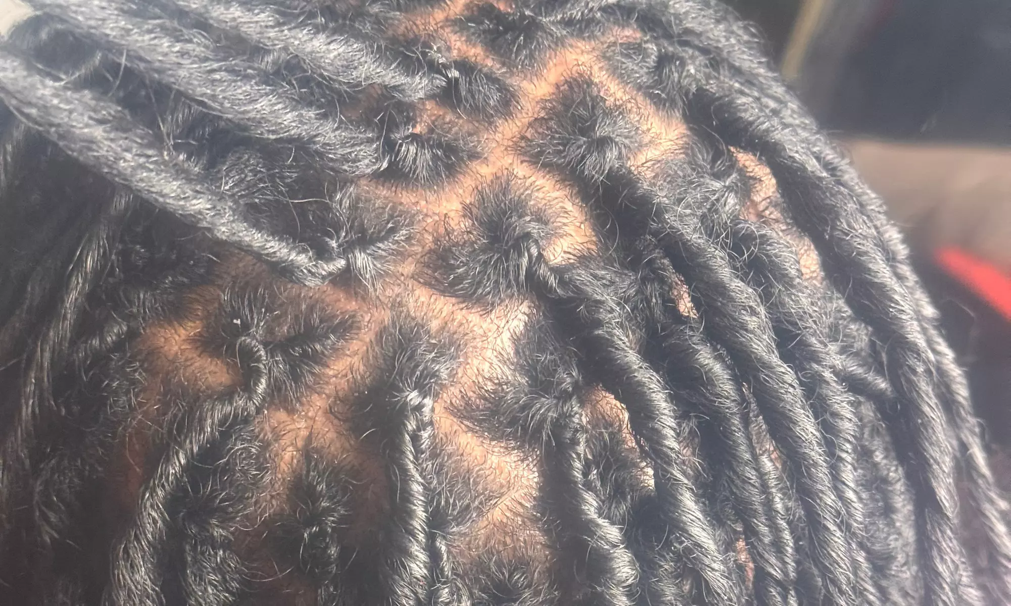 Wash, Retwist & Style, Wigs Touch-Up, Starter Locs, & More