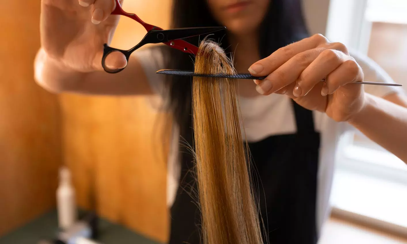 Lavado, corte puntas y secado con opción a tinte y/o mechas para 1