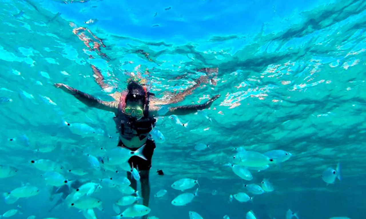 Excursión en catamarán por las playas de Gandía con comida y baño