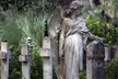 Explore Savannah with Wise Guys Historical Tours; 2 Walking Tour options for 1,2, or 4 adults (Child Tickets Available) - Second Medium