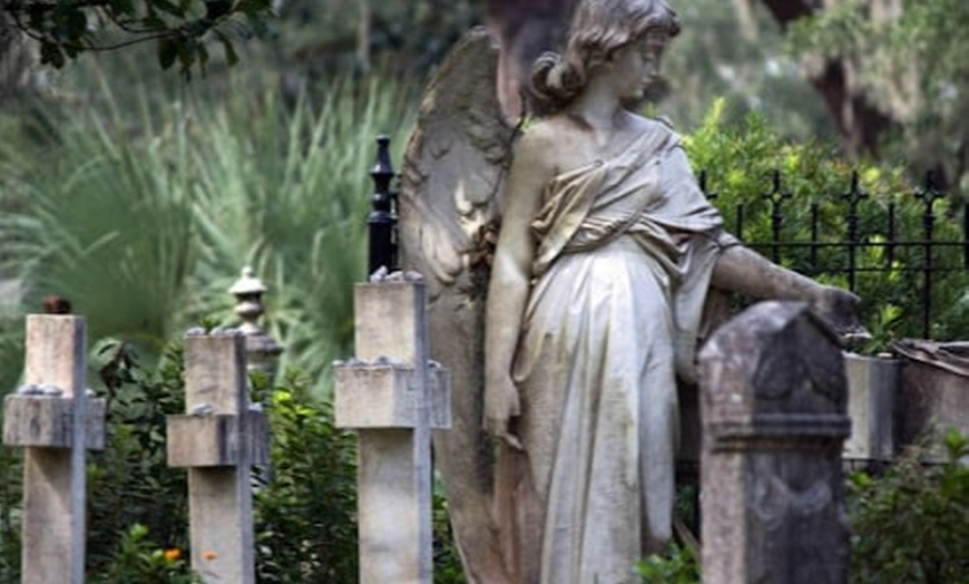 Image 3: Real Savannah, History Buff for Adults or Walking Tour Ticket(1 Child)