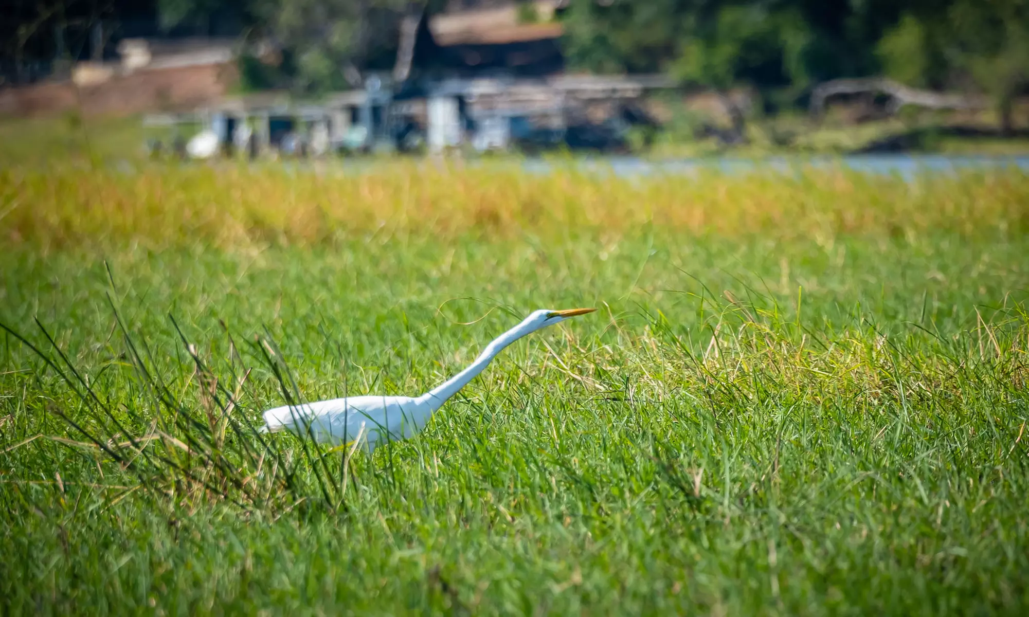 Zimbabwe: 7-Night Yoga & Safari Retreat
