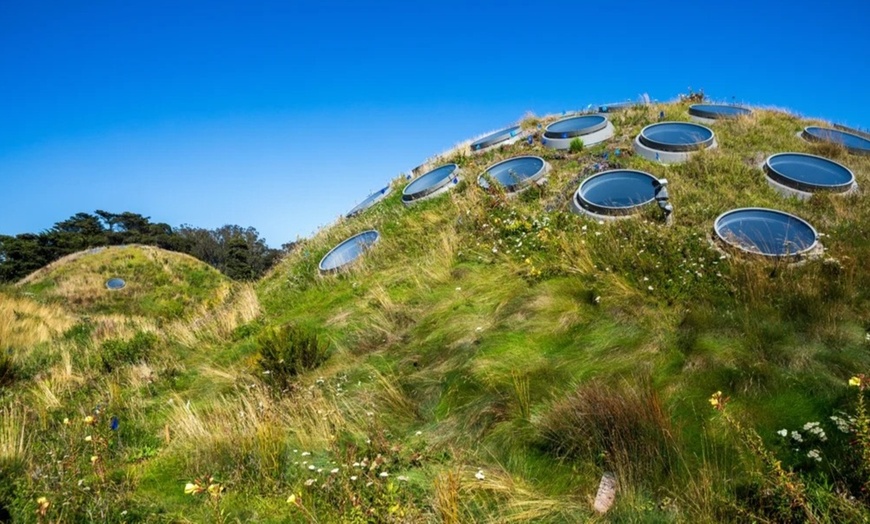 Image 7: Guided Golden Gate Park Walking Tour w/ California Academy of Sciences