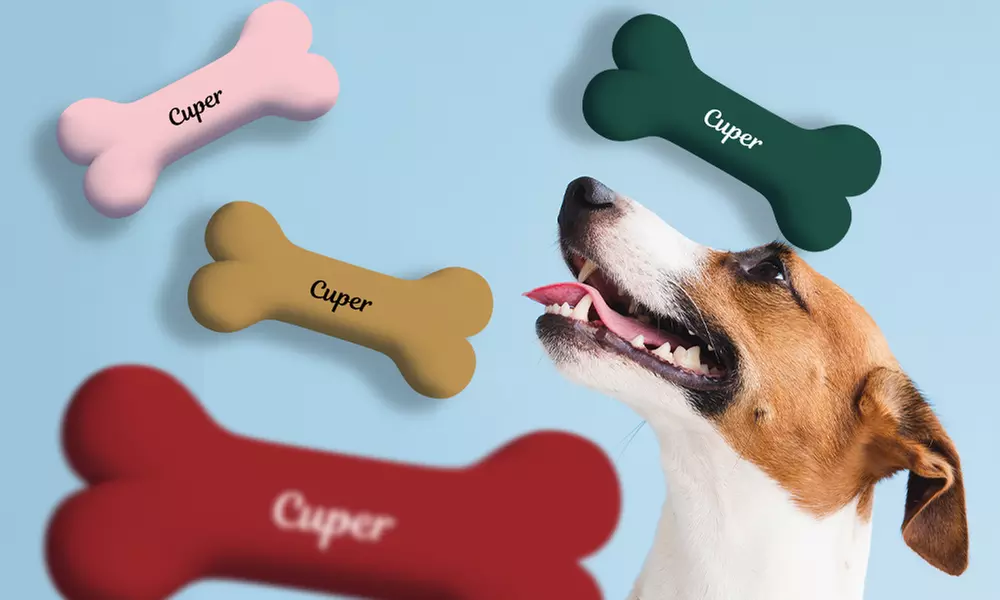 One or Two Custom Pet Toys - Custom Frisbees or Bones Available!