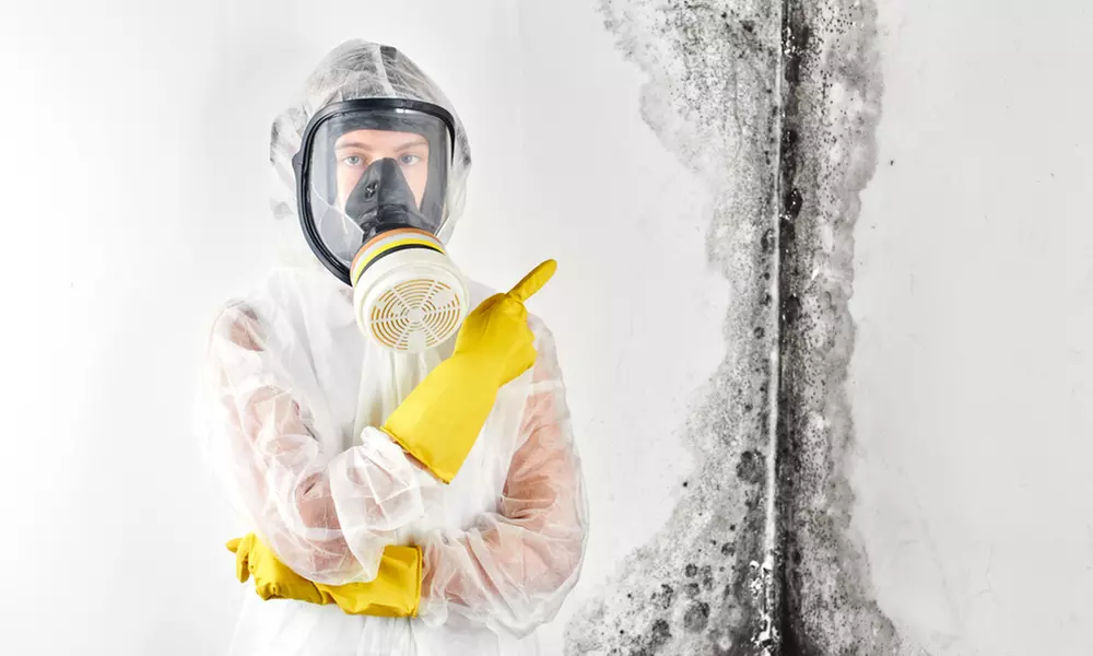 Protect Your Home: Mold Inspection or $250 Towards Removal Services