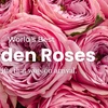 Image 2: A floral treasure: Garden & Peony-Style Roses from Rosaholics (Up to 71%% Off) 