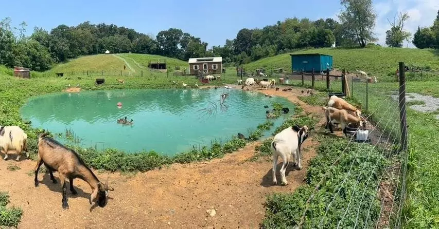 Explore Gnome Hollow with Family Farm Admission Options