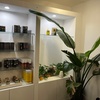 Image 2: Relaxing Massages and Couples Spa Packages at EVIVE Spa SoHo