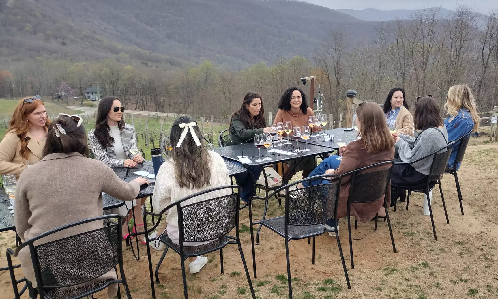 Wine Tour Experience or Vineyard Tour Experience for 1, 2 or 4 & More