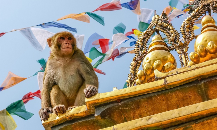 Image 7: Nepal: 5-Night Kathmandu, Pokhara and Annapurna Trek