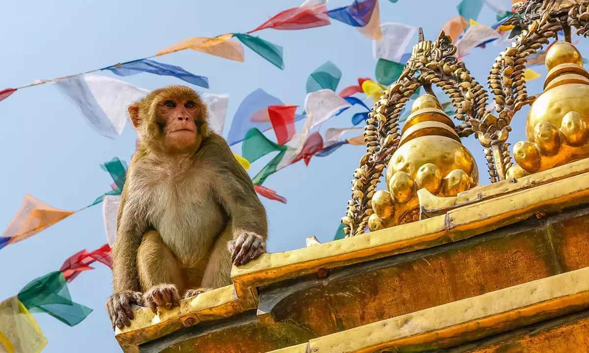 Nepal: 5-Night Kathmandu, Pokhara and Annapurna Trek