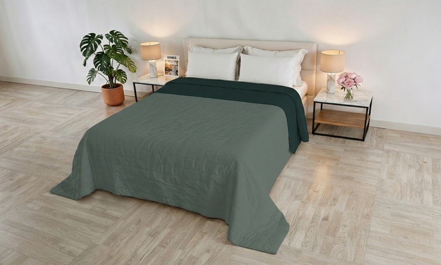 Image 5: Trapuntino Golia double face effetto Water Washed