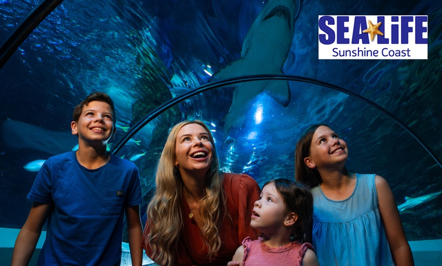 Image 1: Save 20% on SEA LIFE Sunshine Coast   Weekends Included! Adult & Child