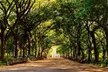 Top-Rated Central Park Pedicab Tour – History, Views & Photo Opportunities Up to  38% Off - Second Medium