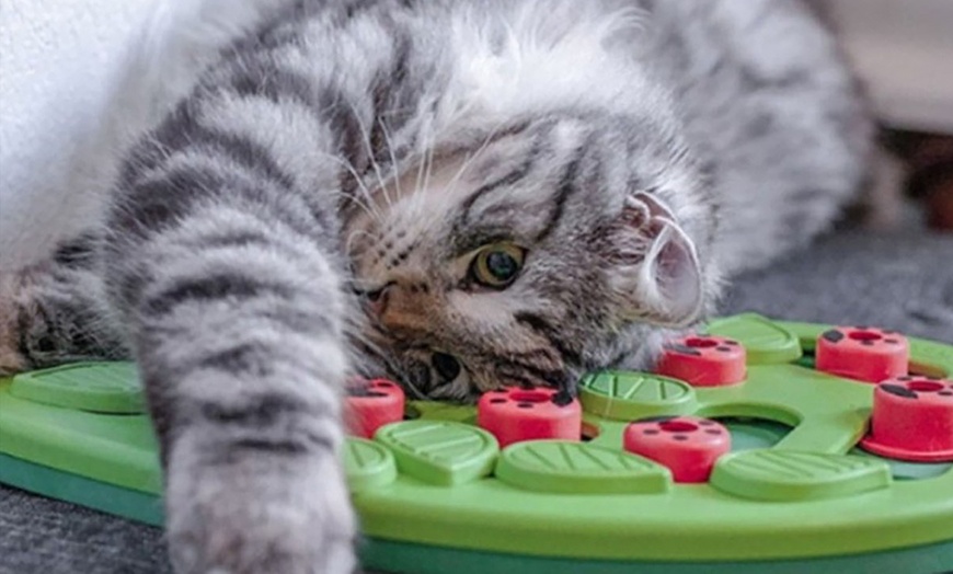 Image 4: Interactive Cat Puzzle Feeder - Treat Dispensing Slow Feeder Toy
