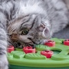 Image 4: Interactive Cat Puzzle Feeder - Treat Dispensing Slow Feeder Toy
