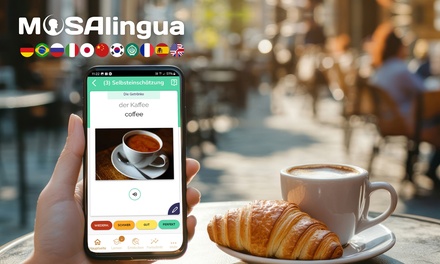6 Monate Web & Handy-App: MosaLingua Premium für alle Sprachen - MosaLingua
