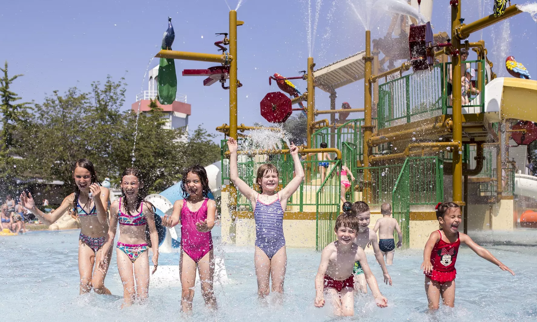 Duik in het familieplezier met tickets voor Boudewijn Seapark en beleef een dolfijne dag in Brugge - Primary Image