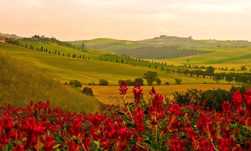Image 15: Siena 4*: camera Classic con colazione o mezza pensione, Spa e drink