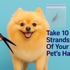 Image 2: Up to 56% Off At-Home Pet Food Sensitivity Testing