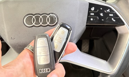 Origination of the keys when you have lost all of them. - SmartKeys inc