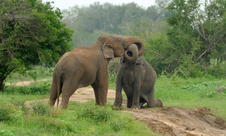 Image 3: Descubre el mundo sin salir de tu ciudad con degustación y premios