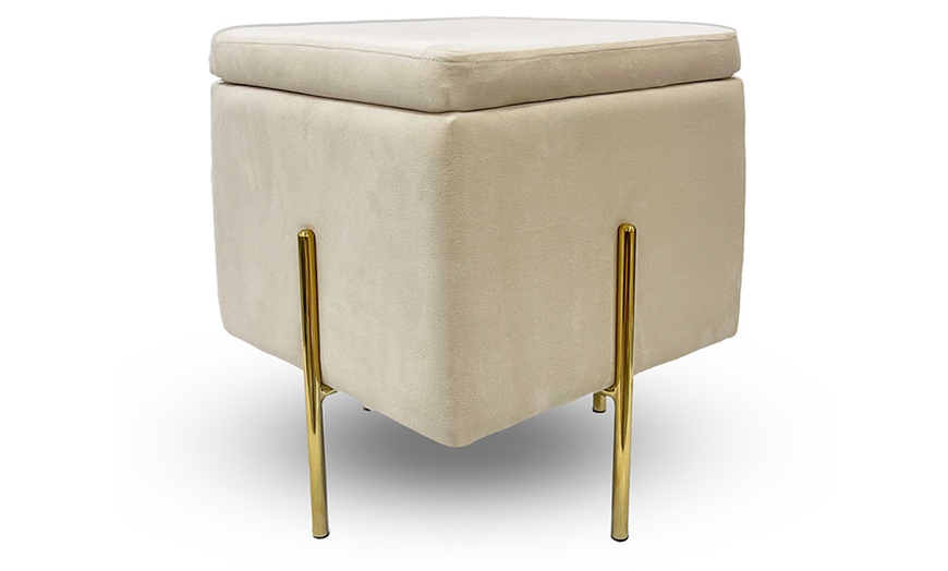 Image 3: Pouf contenitore in velluto