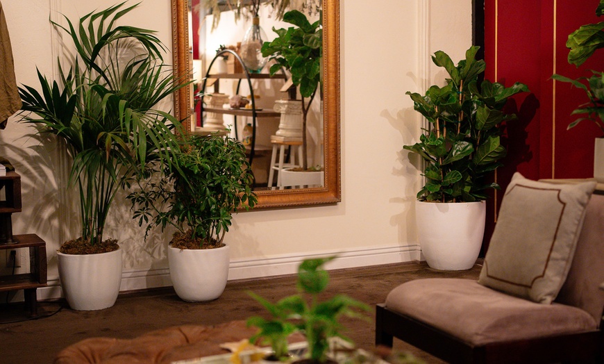 Image 1: Tailored Touch: One or Two Signature Massages (50 or 80 Minutes)