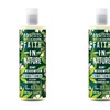 Image 3: Faith in Nature Shampoo and Conditioner