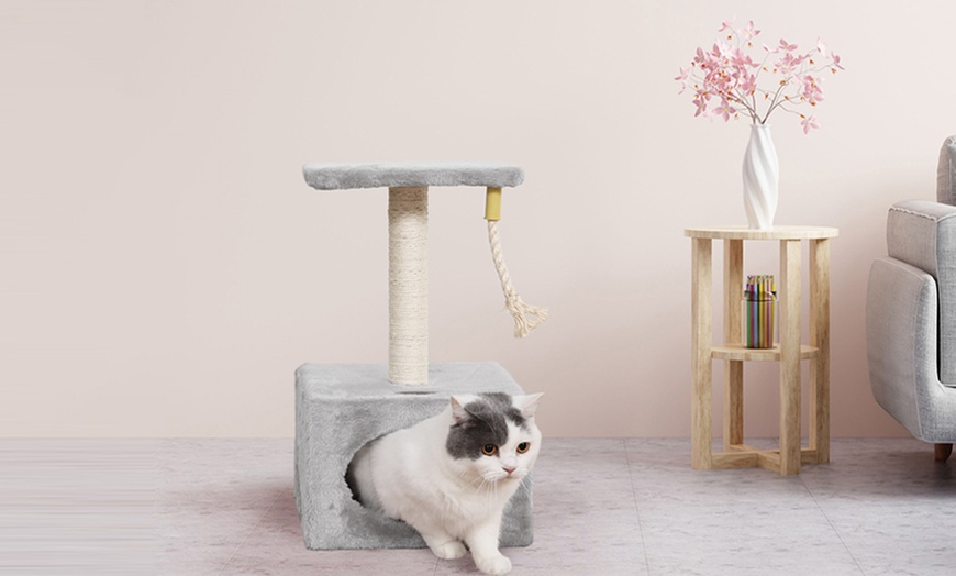 Image 32: Griffoir pour chat