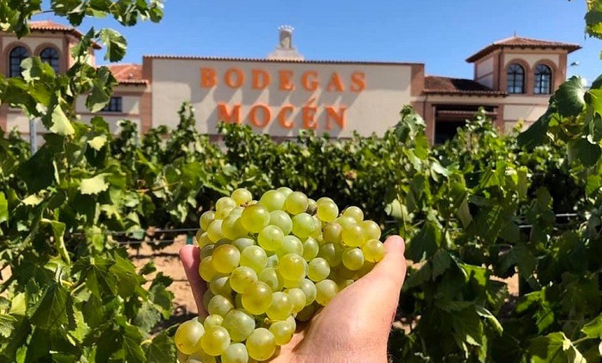 Image 13: Visita guiada a bodega para 2 o 4 con cata de 3 vinos y aperitivo