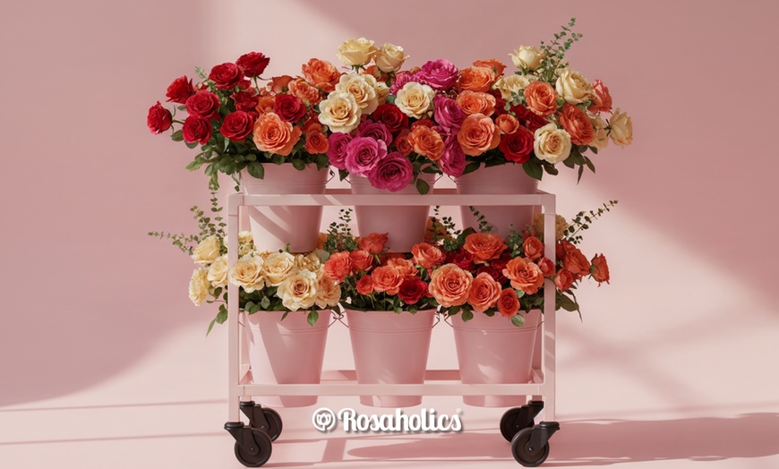 Image 4: Rosaholics Deal: Up to 71% Off  Luxury Mother's Day Roses