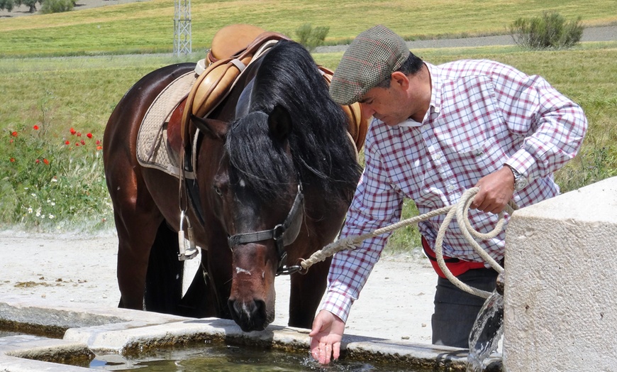 Image 3: Paseo a caballo en entorno natural para cualquier nivel (hasta 4 pax.)