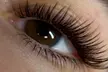 Get Classic or Volume (3D/6D) Lash Extensions w/ Optional 2 Week Fill at Latelier Ivy - Up to 50% Off - Second Medium