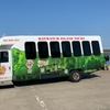Image 4: 45-Minute Historic Galveston Island Bus Tour 