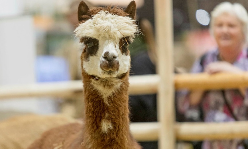 Image 5: Grüne Woche am Fr., 16.01.26 auf dem Messegelände Berlin