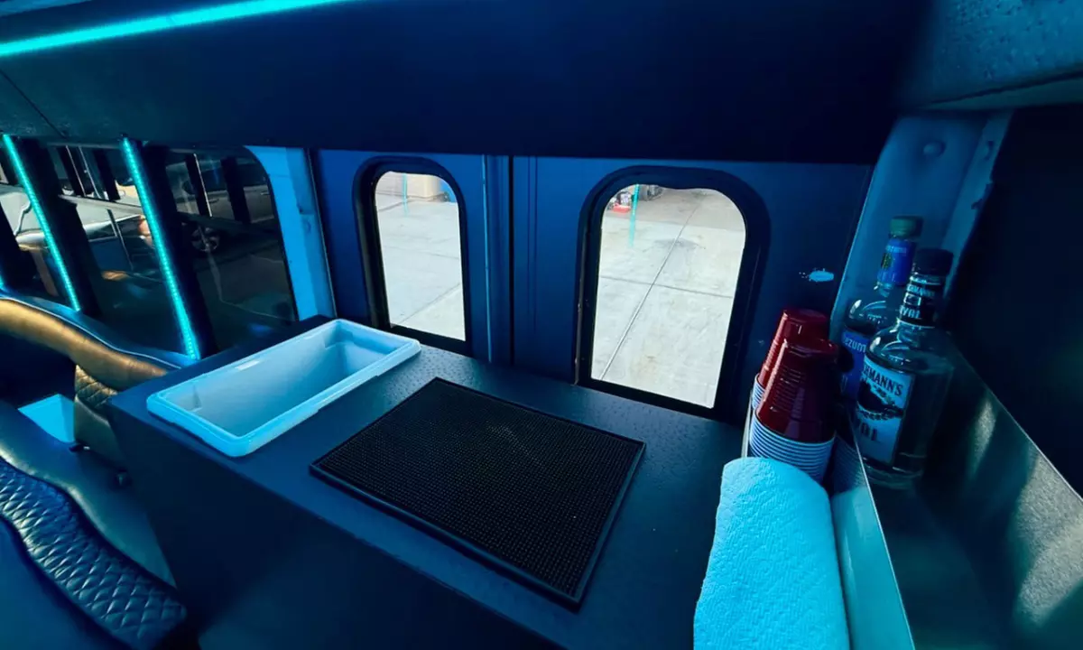 Celebrate in Style with a Private Party Bus Rental for up to 18 People