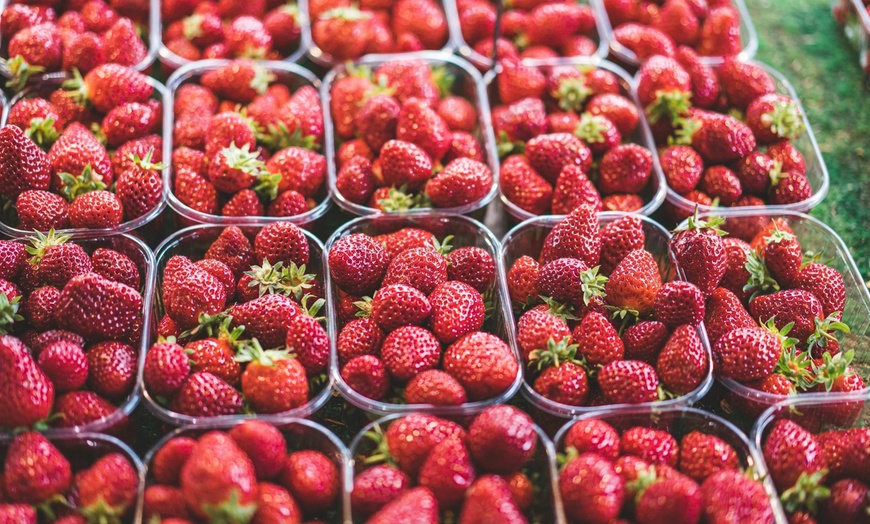 Image 5: ✈ Azure Coast Vacation: 7-Day Getaway with Air & Hotel from Worldee