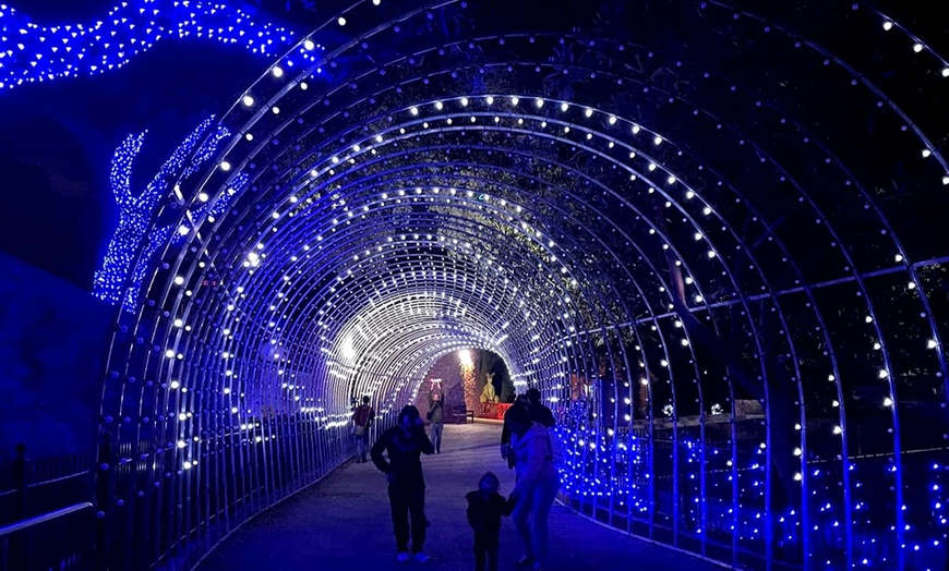 Image 19: FLASH SALE! Wildlife Adventure and Zoo Lights at San Antonio Zoo!