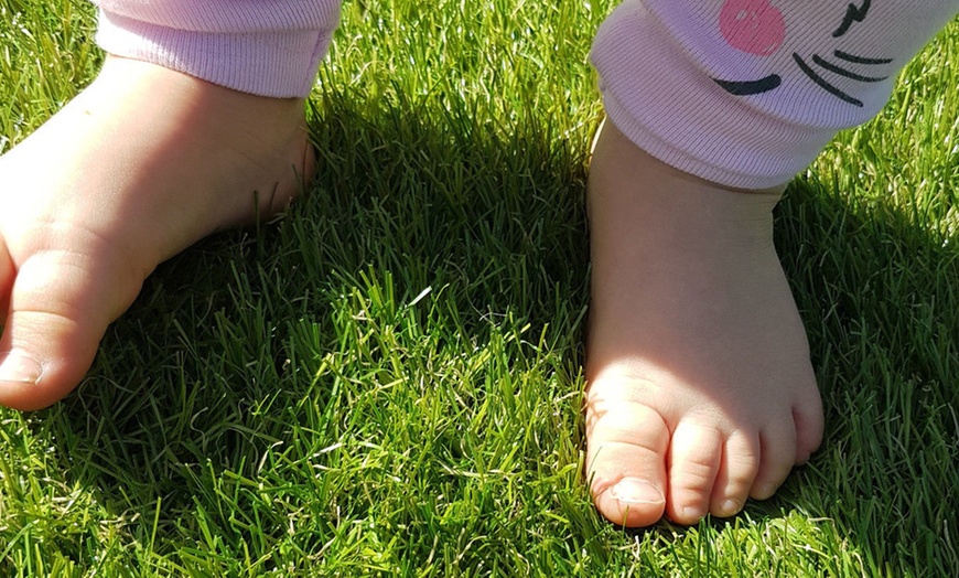 Image 3: Gazon artificiel pour extérieur