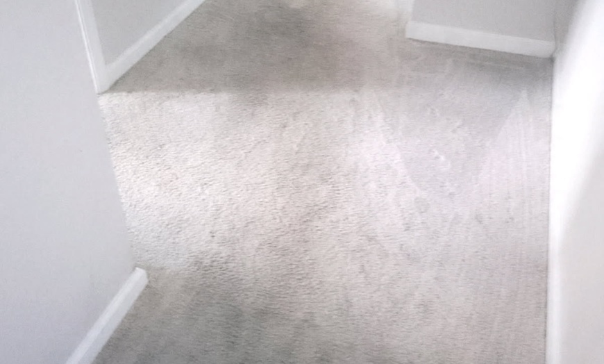 Image 2: Steam Cleaning for 3, 4, 5, 6, or 7 Rooms, One Hallway, Closets & More