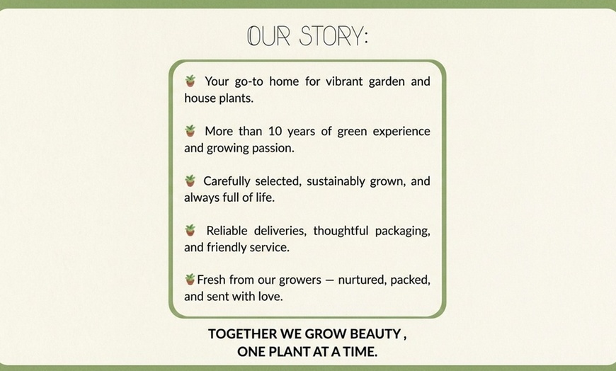 Image 2: Set di piante Zoë, include Salvia, Verbena e Stipa Tenuifolia