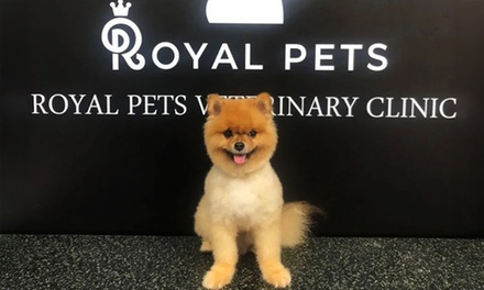 Full Grooming for Cat/ Dog less than 10kg