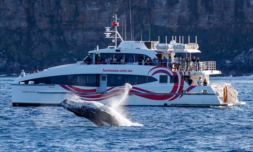 Image 1: 2.5-Hour Weekday or Weekend Whale Watching Cruise with Live Commentary