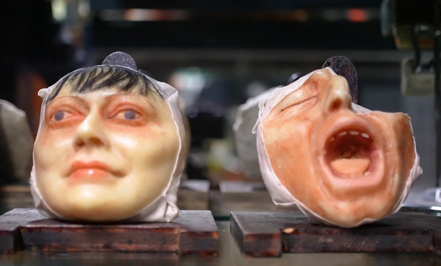 Image 7: Explore Museum of Curiosities with One, Two or Four Tickets 