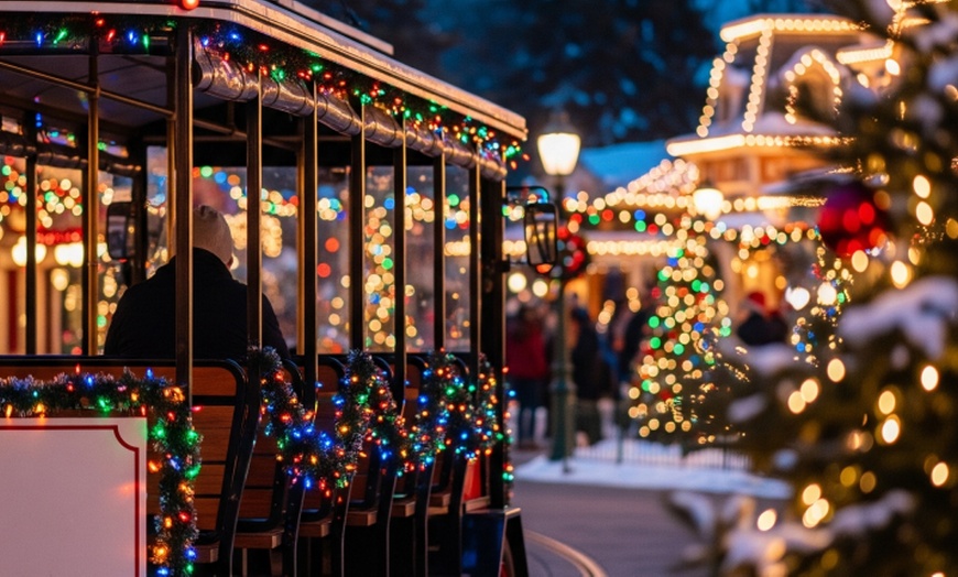 Image 6: Experience the Magic of the Holidays: Children or Adult Admission